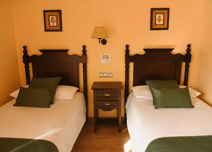 Rural De 비누에사